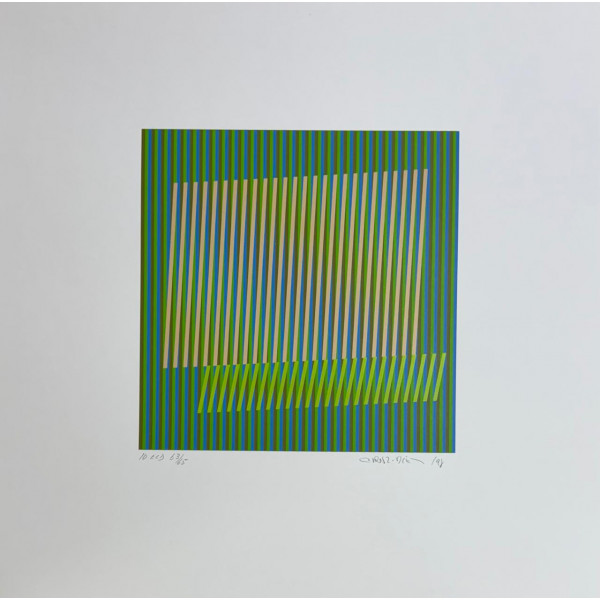 Carlos Cruz-Diez 10