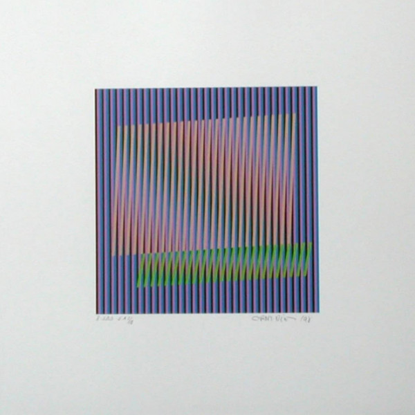 Carlos Cruz-Diez 8