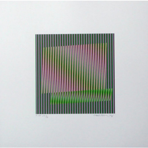 Carlos Cruz-Diez 6