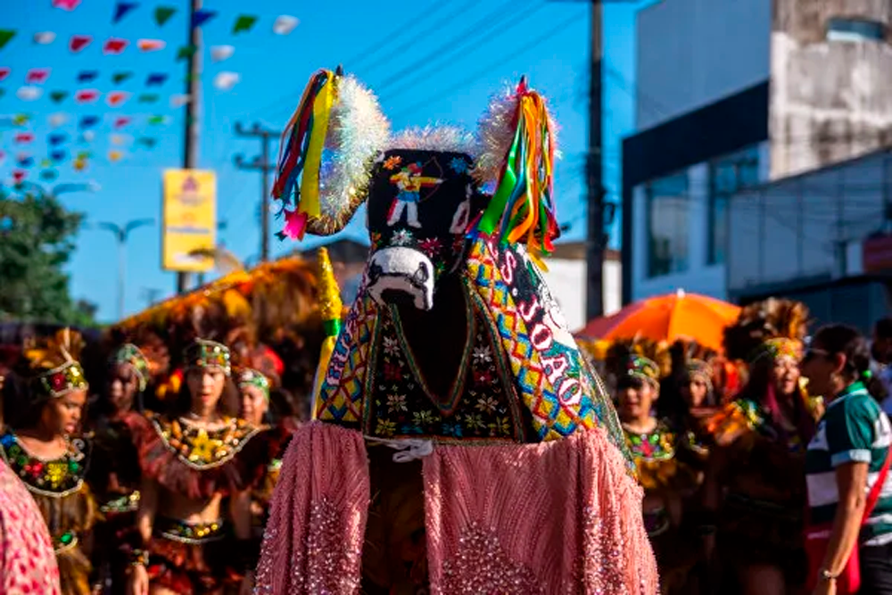 Bumba meu boi, personagem de popular festa nordestina