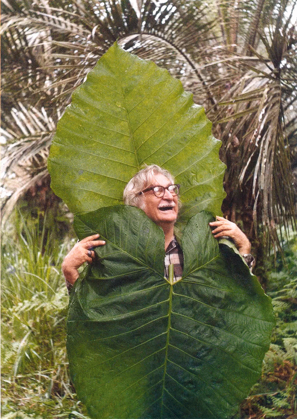 Roberto Burle Marx o artista apaixonado pela natureza