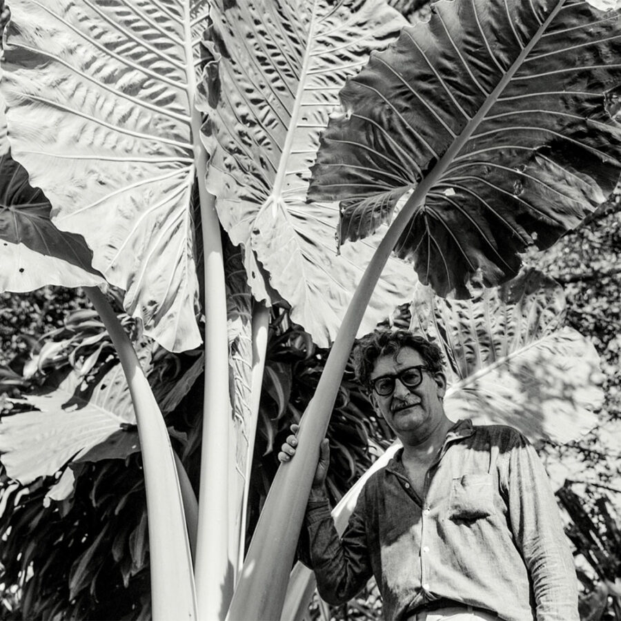 Paisagista Burle Marx